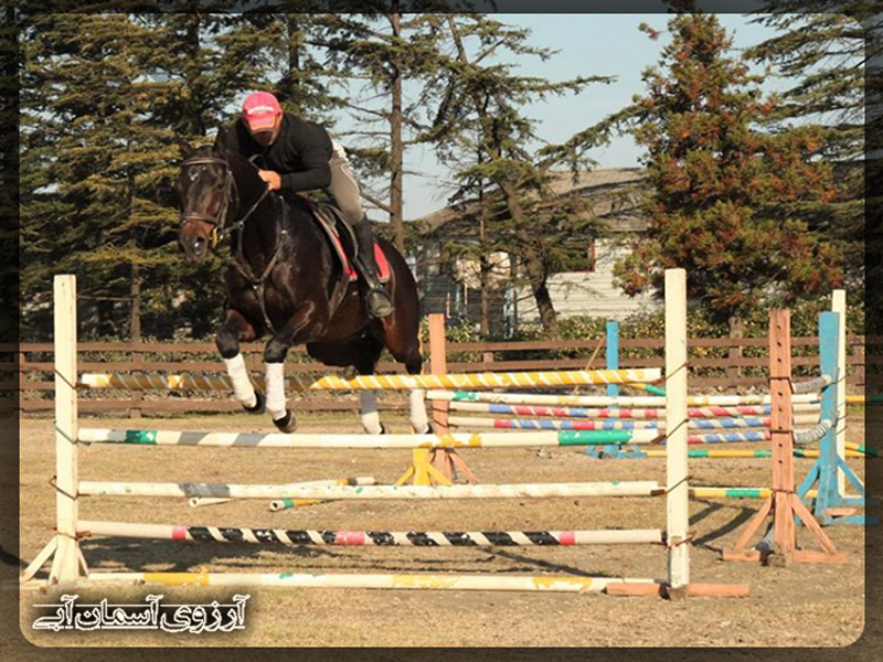 کلوب اسب سواری باتومی